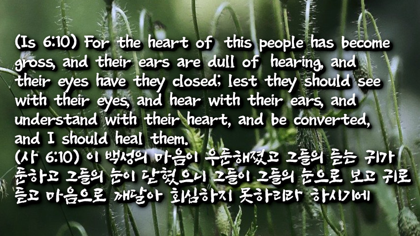 강퍆한 마음의 끝