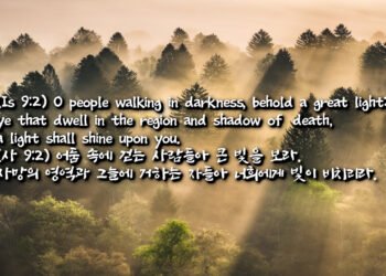 어둠 속에 걷는 사람들