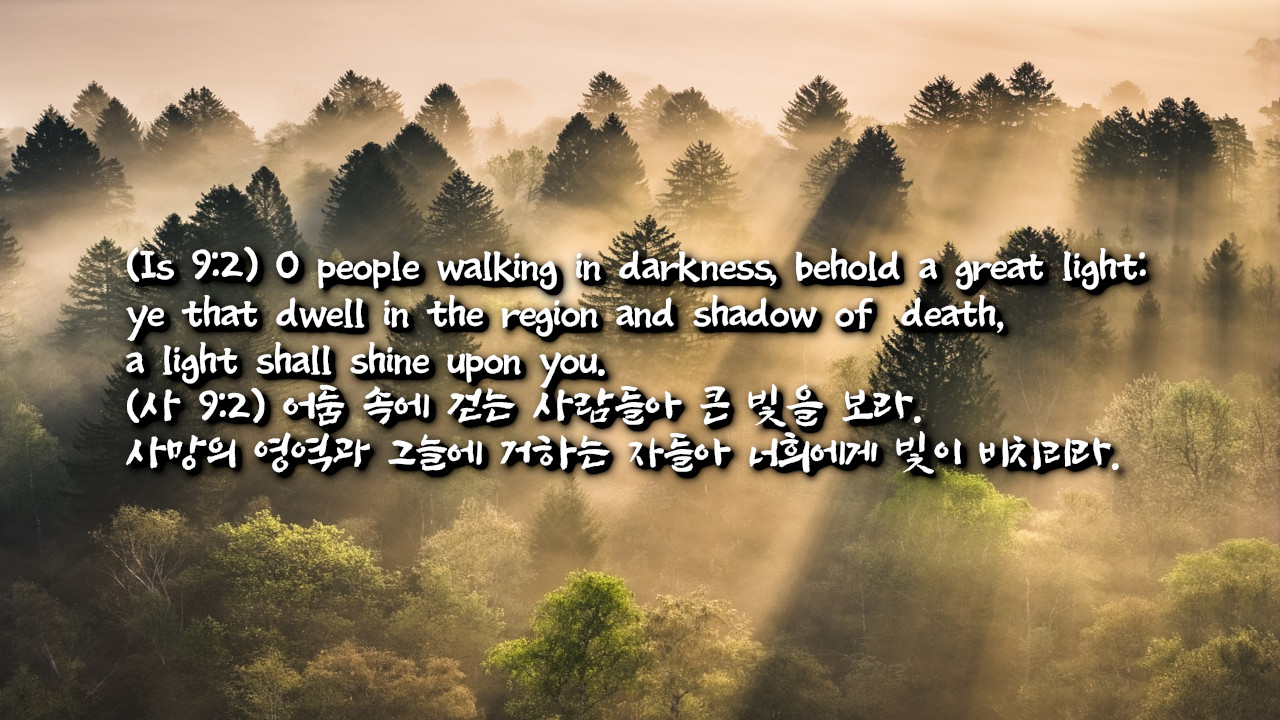 어둠 속에 걷는 사람들