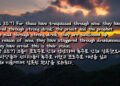 잘못된 환상을 보는 자들