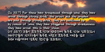 잘못된 환상을 보는 자들
